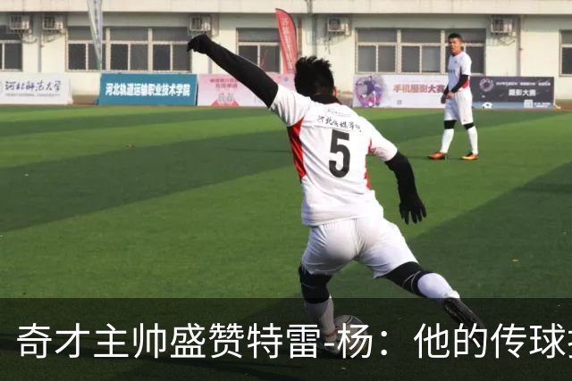 奇才主帅盛赞特雷-杨：他的传球技术提升了全队的表现